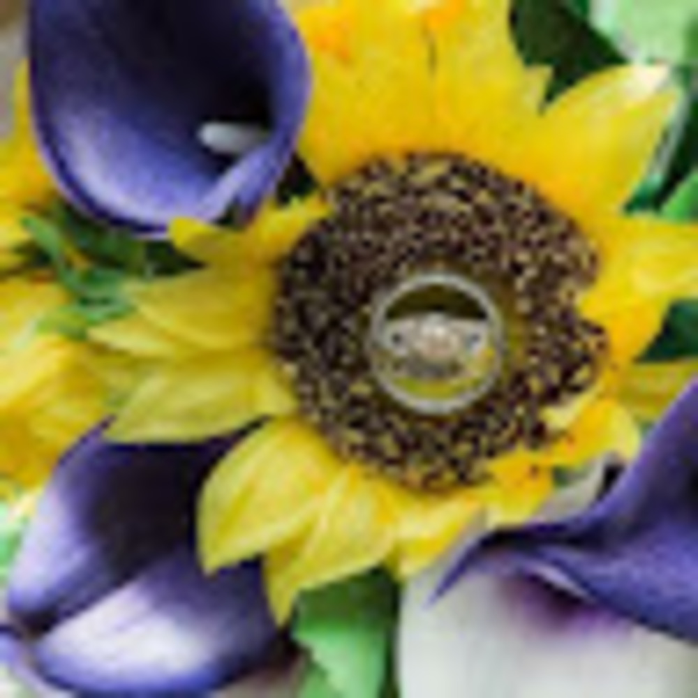 Meet your Posher, Jenni